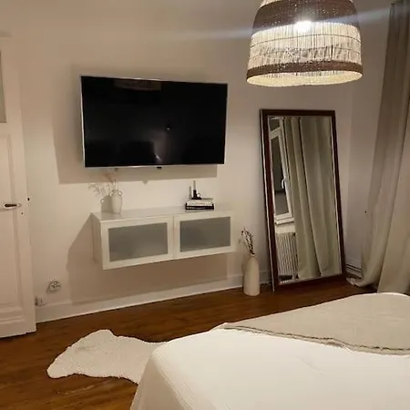 Grand Entier En Hyper Centre A 10 Minutes De Lille, Metro A 50m Et La Gare De Et A 900m Et Parking A Proximite Lejlighed *