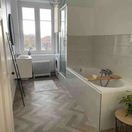 Grand Entier En Hyper Centre A 10 Minutes De Lille, Metro A 50m Et La Gare De Et A 900m Et Parking A Proximite *